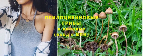 дурь Абинск