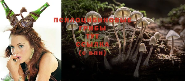 a pvp Алексин