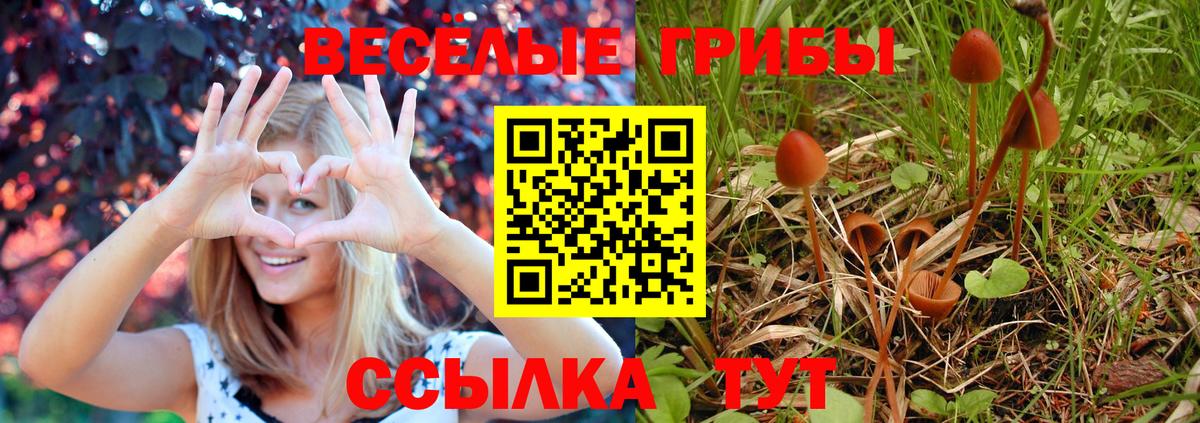 Галлюциногенные грибы ЛСД  Вход с VPN  Новочебоксарск 