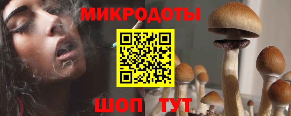 Галлюциногенные грибы мицелий Новочебоксарск