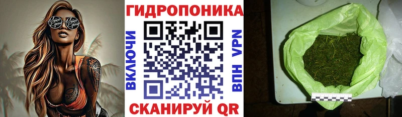 даркнет сайт  Новочебоксарск  Бошки Шишки MAZAR 